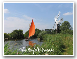 the broads in Norfolk