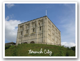 Norwich castle