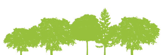 trees Tree silhouette Highgate